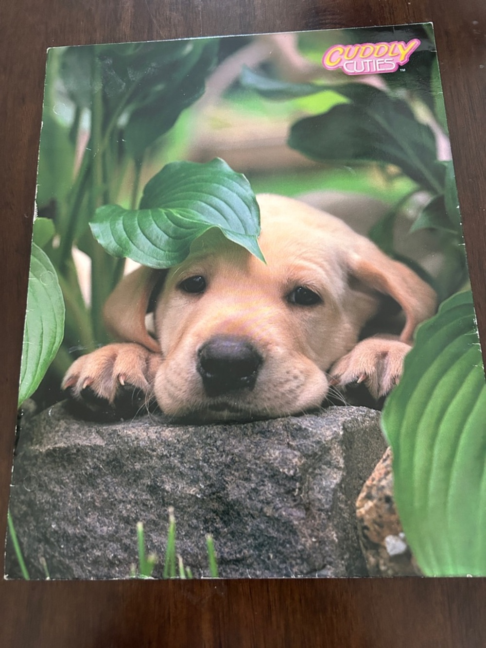 Vntg Cuddly Cuties Puppy Folder Yellow Labrador & Puppies on the back cover